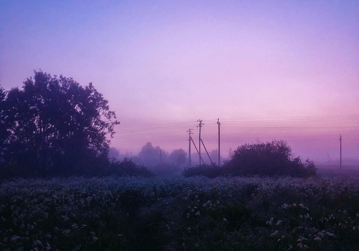 KT击败T1赛后,上单PerfecT面对镜头庆祝胜利